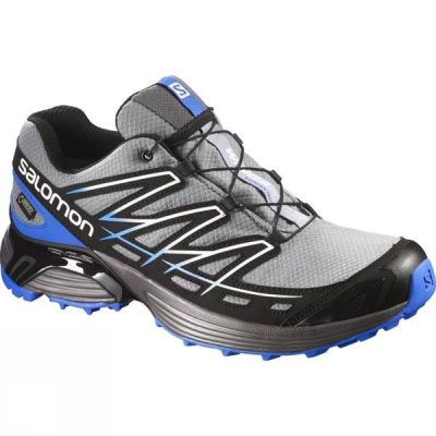 Zapatillas Running Salomon Wings Flyte GTX Hombre Gris / Negras / Azules - Chile TSL829041